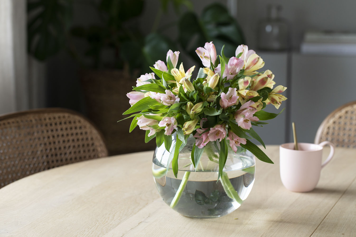Alstroemeria